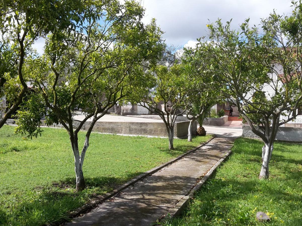 B&B I 4 Venti Sassari Buitenkant foto